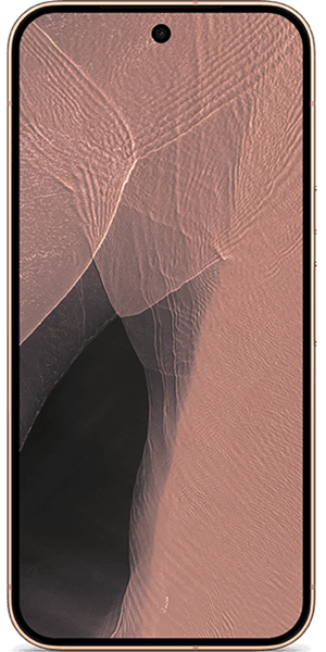 Pixel 11 Pro XL