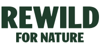 Network Logo